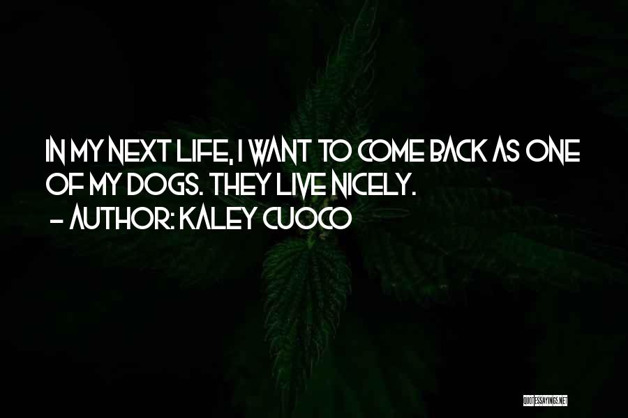 Kaley Cuoco Quotes: In My Next Life, I Want To Come Back As One Of My Dogs. They Live Nicely.