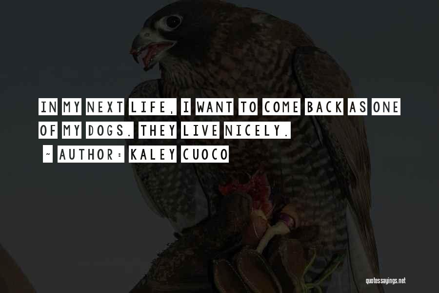 Kaley Cuoco Quotes: In My Next Life, I Want To Come Back As One Of My Dogs. They Live Nicely.
