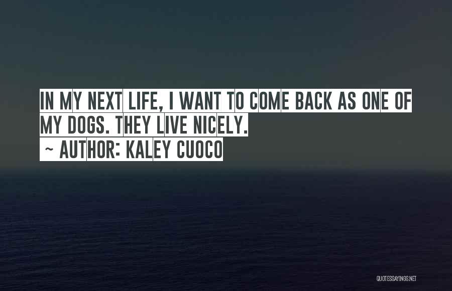 Kaley Cuoco Quotes: In My Next Life, I Want To Come Back As One Of My Dogs. They Live Nicely.