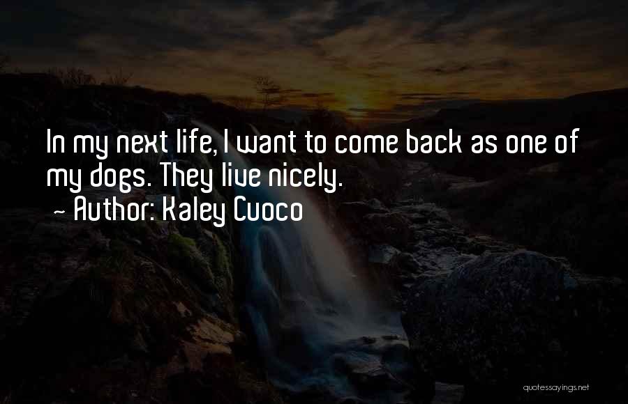 Kaley Cuoco Quotes: In My Next Life, I Want To Come Back As One Of My Dogs. They Live Nicely.