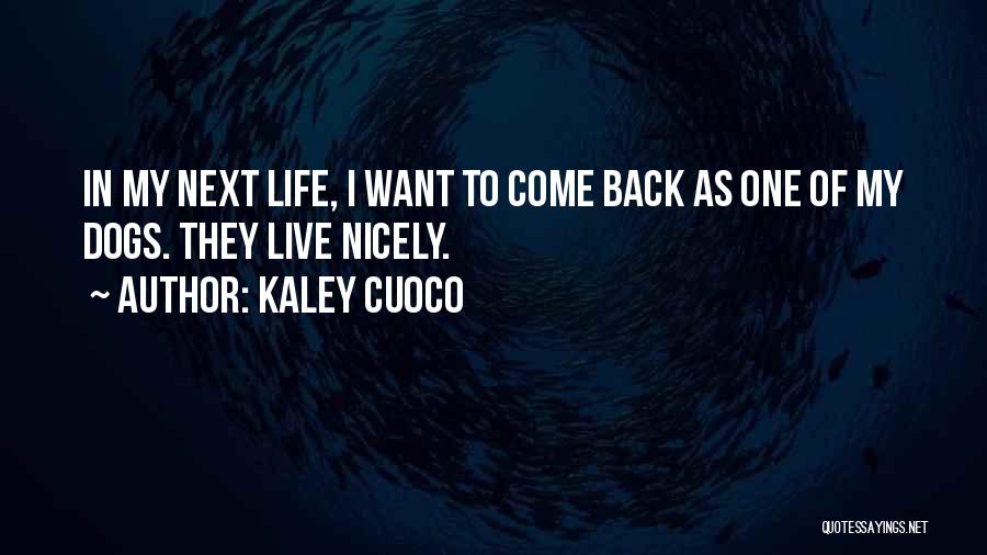 Kaley Cuoco Quotes: In My Next Life, I Want To Come Back As One Of My Dogs. They Live Nicely.