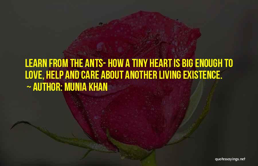 Munia Khan Quotes: Learn From The Ants- How A Tiny Heart Is Big Enough To Love, Help And Care About Another Living Existence.