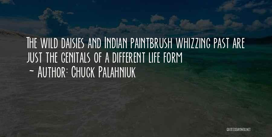 Chuck Palahniuk Quotes: The Wild Daisies And Indian Paintbrush Whizzing Past Are Just The Genitals Of A Different Life Form