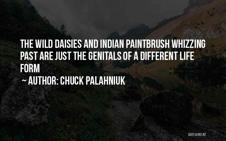 Chuck Palahniuk Quotes: The Wild Daisies And Indian Paintbrush Whizzing Past Are Just The Genitals Of A Different Life Form