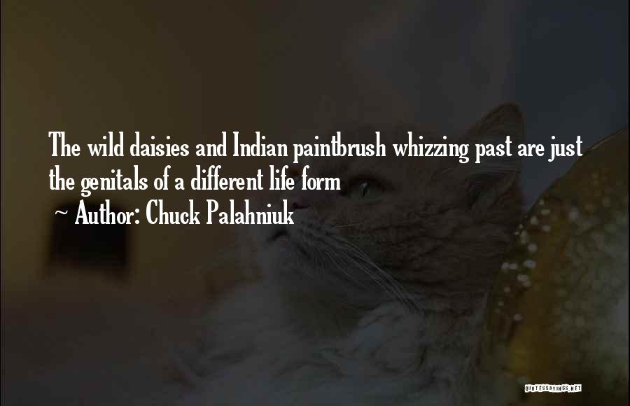 Chuck Palahniuk Quotes: The Wild Daisies And Indian Paintbrush Whizzing Past Are Just The Genitals Of A Different Life Form