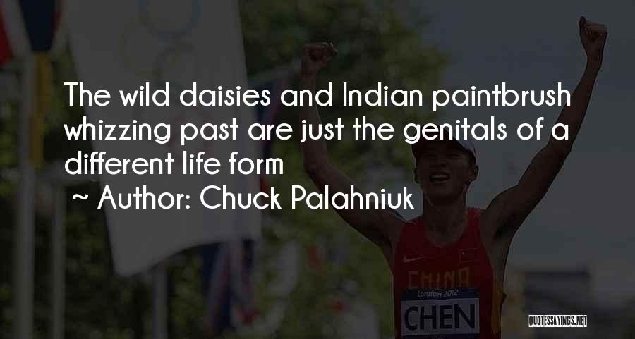 Chuck Palahniuk Quotes: The Wild Daisies And Indian Paintbrush Whizzing Past Are Just The Genitals Of A Different Life Form