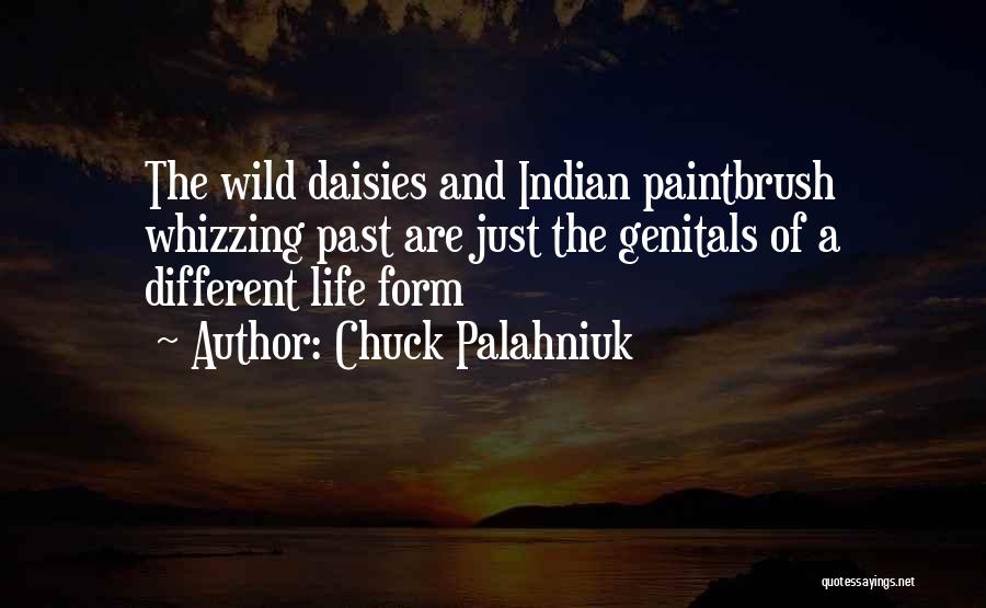 Chuck Palahniuk Quotes: The Wild Daisies And Indian Paintbrush Whizzing Past Are Just The Genitals Of A Different Life Form