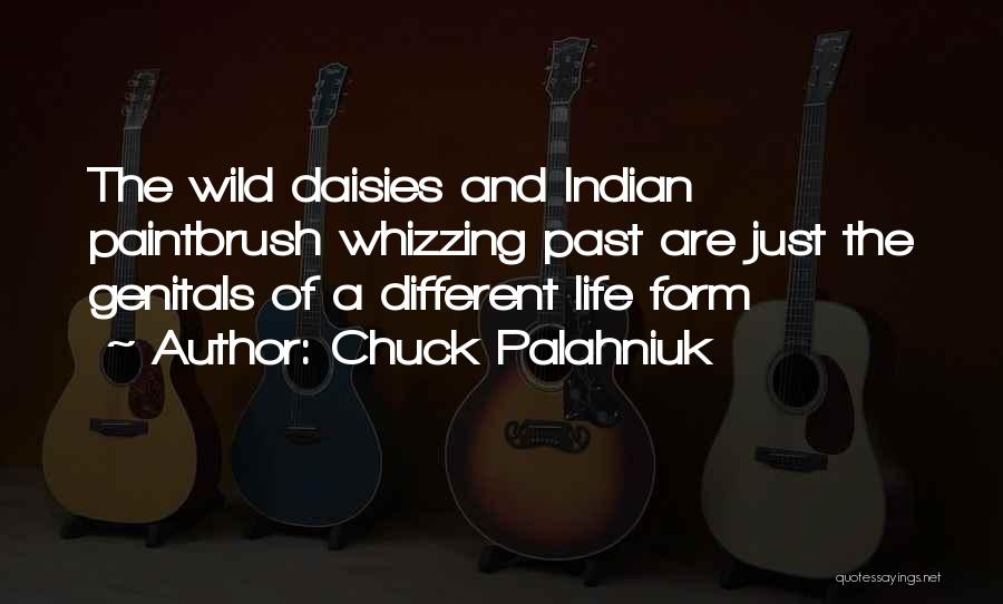 Chuck Palahniuk Quotes: The Wild Daisies And Indian Paintbrush Whizzing Past Are Just The Genitals Of A Different Life Form