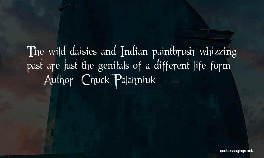 Chuck Palahniuk Quotes: The Wild Daisies And Indian Paintbrush Whizzing Past Are Just The Genitals Of A Different Life Form