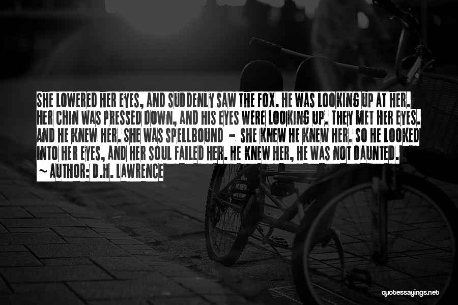 D.H. Lawrence Quotes: She Lowered Her Eyes, And Suddenly Saw The Fox. He Was Looking Up At Her. Her Chin Was Pressed Down,