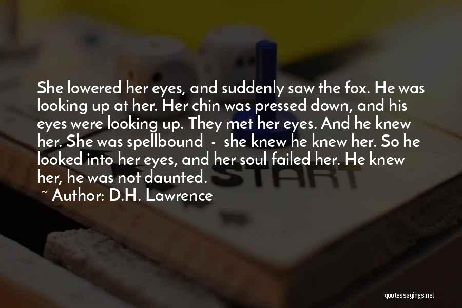 D.H. Lawrence Quotes: She Lowered Her Eyes, And Suddenly Saw The Fox. He Was Looking Up At Her. Her Chin Was Pressed Down,