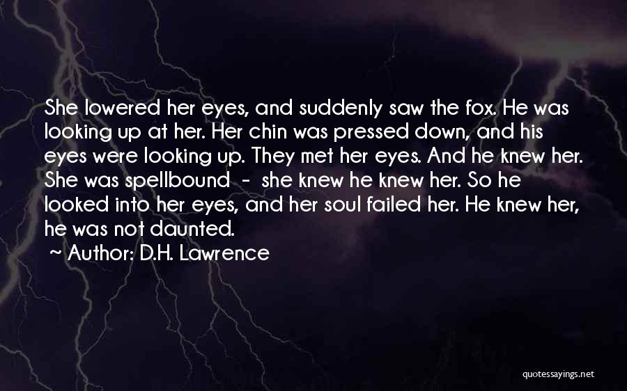 D.H. Lawrence Quotes: She Lowered Her Eyes, And Suddenly Saw The Fox. He Was Looking Up At Her. Her Chin Was Pressed Down,