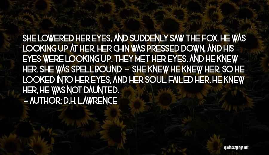 D.H. Lawrence Quotes: She Lowered Her Eyes, And Suddenly Saw The Fox. He Was Looking Up At Her. Her Chin Was Pressed Down,