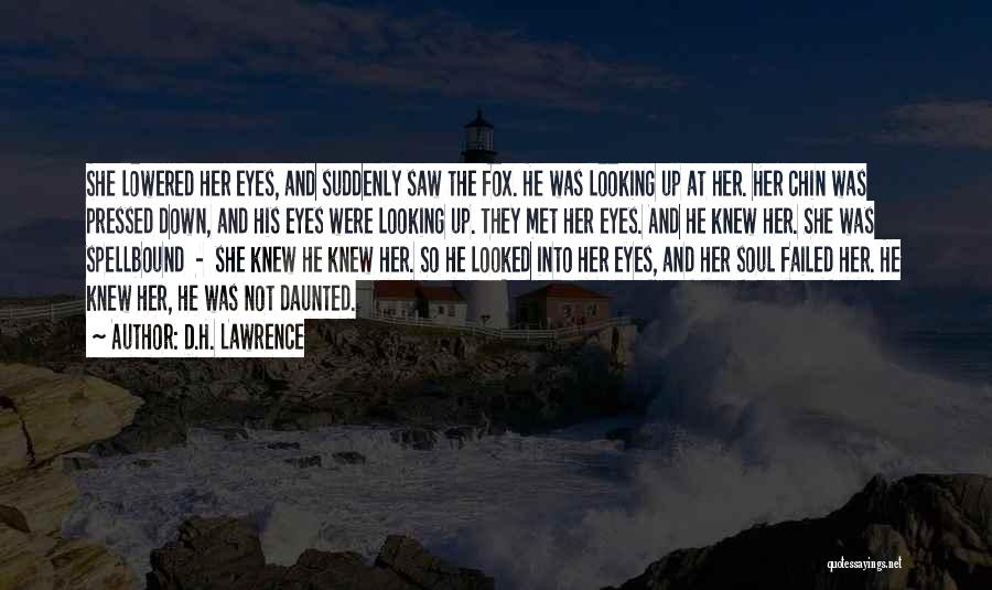 D.H. Lawrence Quotes: She Lowered Her Eyes, And Suddenly Saw The Fox. He Was Looking Up At Her. Her Chin Was Pressed Down,
