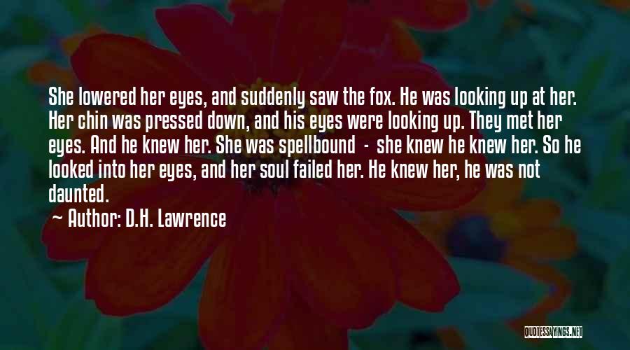 D.H. Lawrence Quotes: She Lowered Her Eyes, And Suddenly Saw The Fox. He Was Looking Up At Her. Her Chin Was Pressed Down,