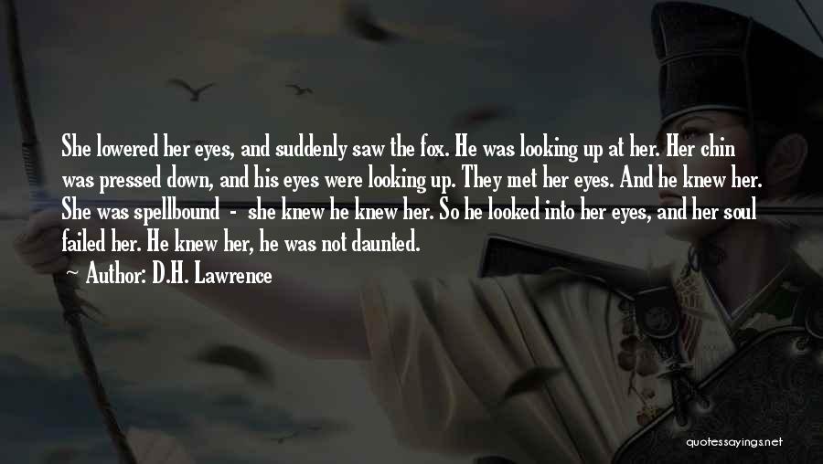 D.H. Lawrence Quotes: She Lowered Her Eyes, And Suddenly Saw The Fox. He Was Looking Up At Her. Her Chin Was Pressed Down,