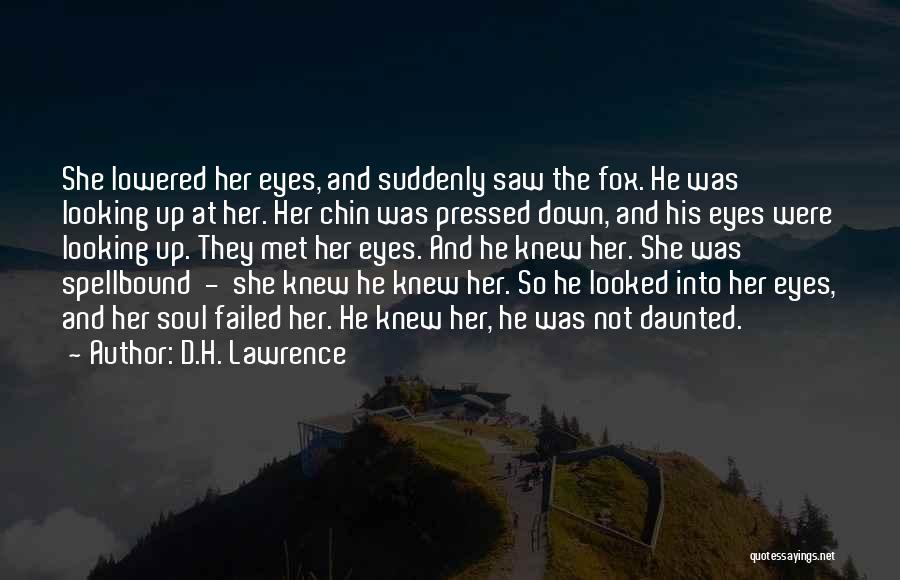 D.H. Lawrence Quotes: She Lowered Her Eyes, And Suddenly Saw The Fox. He Was Looking Up At Her. Her Chin Was Pressed Down,