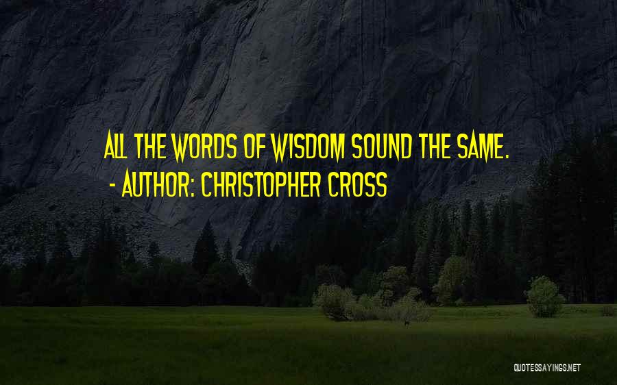 Christopher Cross Quotes: All The Words Of Wisdom Sound The Same.