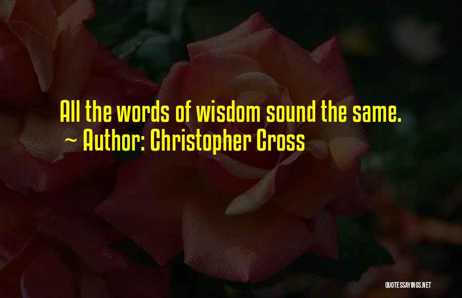 Christopher Cross Quotes: All The Words Of Wisdom Sound The Same.