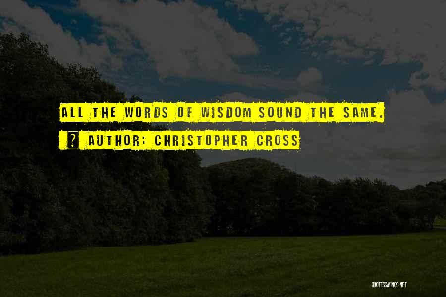 Christopher Cross Quotes: All The Words Of Wisdom Sound The Same.