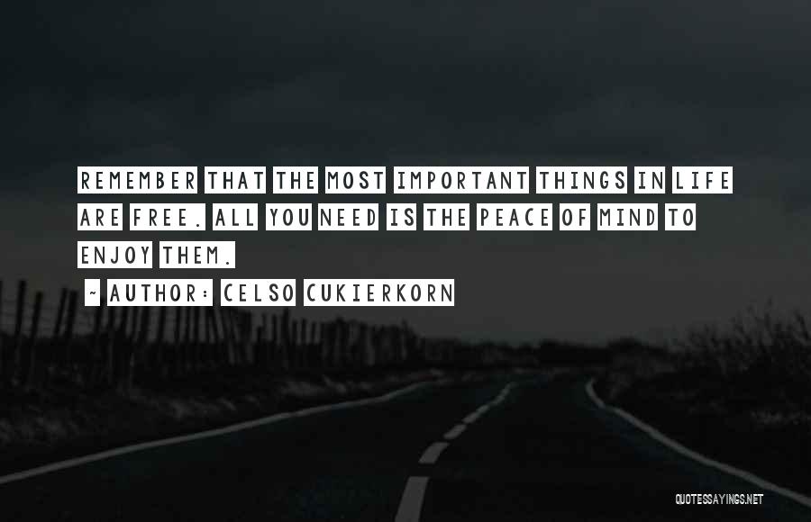 Celso Cukierkorn Quotes: Remember That The Most Important Things In Life Are Free. All You Need Is The Peace Of Mind To Enjoy