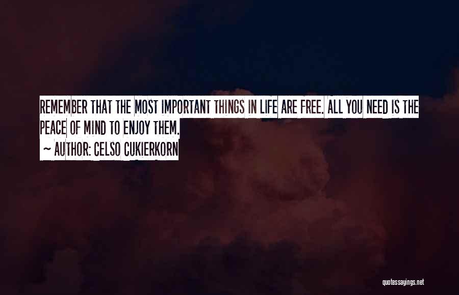 Celso Cukierkorn Quotes: Remember That The Most Important Things In Life Are Free. All You Need Is The Peace Of Mind To Enjoy