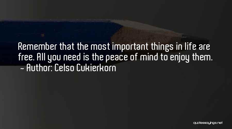 Celso Cukierkorn Quotes: Remember That The Most Important Things In Life Are Free. All You Need Is The Peace Of Mind To Enjoy