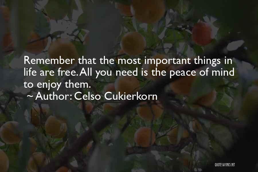Celso Cukierkorn Quotes: Remember That The Most Important Things In Life Are Free. All You Need Is The Peace Of Mind To Enjoy