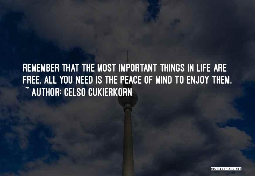 Celso Cukierkorn Quotes: Remember That The Most Important Things In Life Are Free. All You Need Is The Peace Of Mind To Enjoy