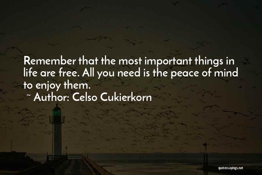 Celso Cukierkorn Quotes: Remember That The Most Important Things In Life Are Free. All You Need Is The Peace Of Mind To Enjoy