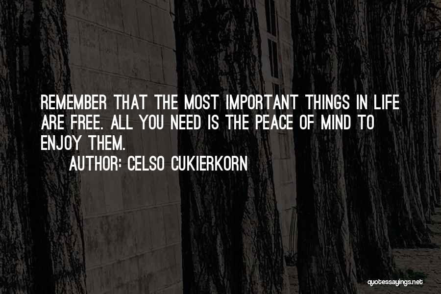 Celso Cukierkorn Quotes: Remember That The Most Important Things In Life Are Free. All You Need Is The Peace Of Mind To Enjoy