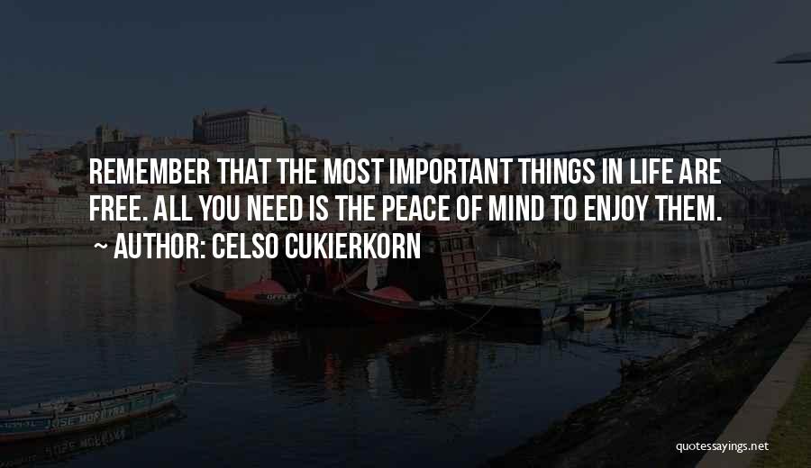 Celso Cukierkorn Quotes: Remember That The Most Important Things In Life Are Free. All You Need Is The Peace Of Mind To Enjoy