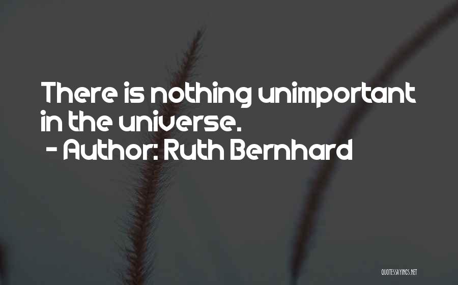 Ruth Bernhard Quotes: There Is Nothing Unimportant In The Universe.