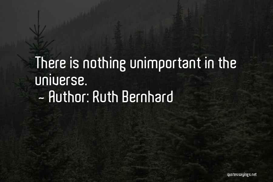 Ruth Bernhard Quotes: There Is Nothing Unimportant In The Universe.