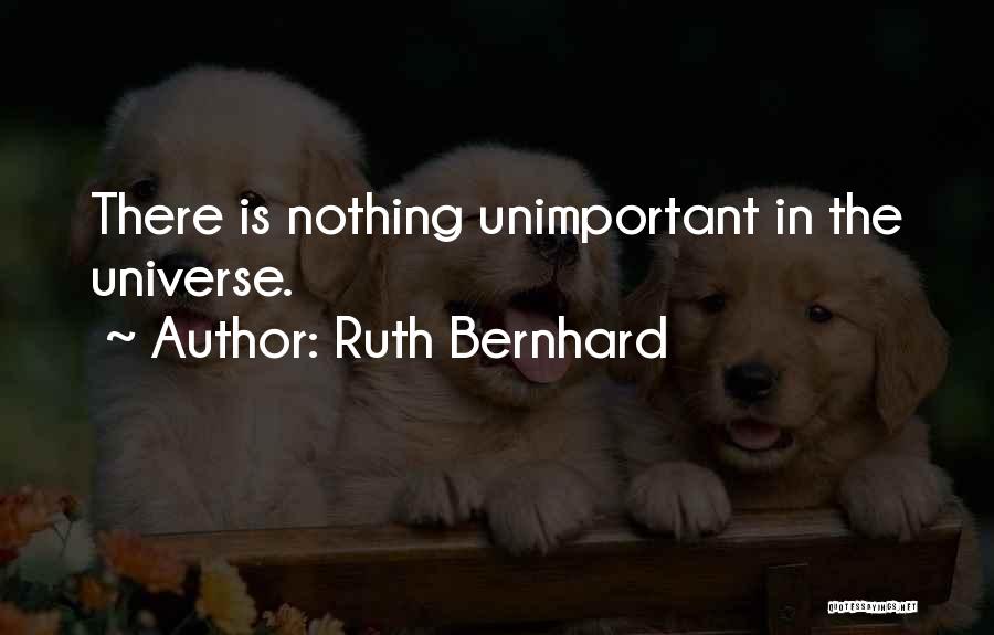 Ruth Bernhard Quotes: There Is Nothing Unimportant In The Universe.