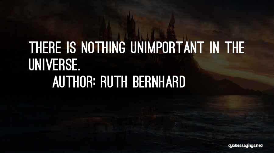 Ruth Bernhard Quotes: There Is Nothing Unimportant In The Universe.