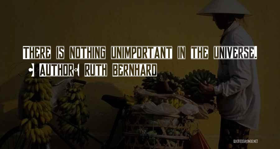 Ruth Bernhard Quotes: There Is Nothing Unimportant In The Universe.