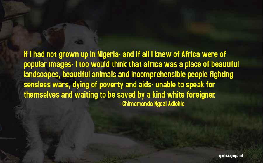 96l6 Quotes By Chimamanda Ngozi Adichie 96l6 Quotes By Chimamanda Ngozi Adichie