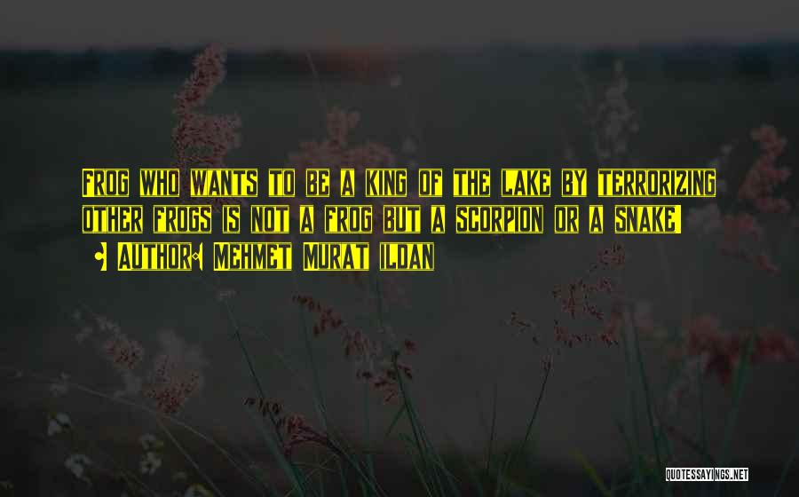 Mehmet Murat Ildan Quotes: Frog Who Wants To Be A King Of The Lake By Terrorizing Other Frogs Is Not A Frog But A