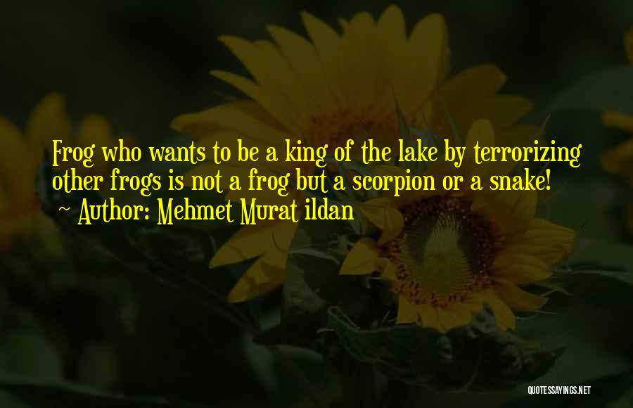 Mehmet Murat Ildan Quotes: Frog Who Wants To Be A King Of The Lake By Terrorizing Other Frogs Is Not A Frog But A