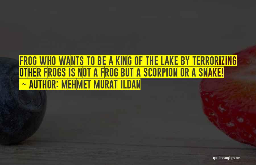 Mehmet Murat Ildan Quotes: Frog Who Wants To Be A King Of The Lake By Terrorizing Other Frogs Is Not A Frog But A