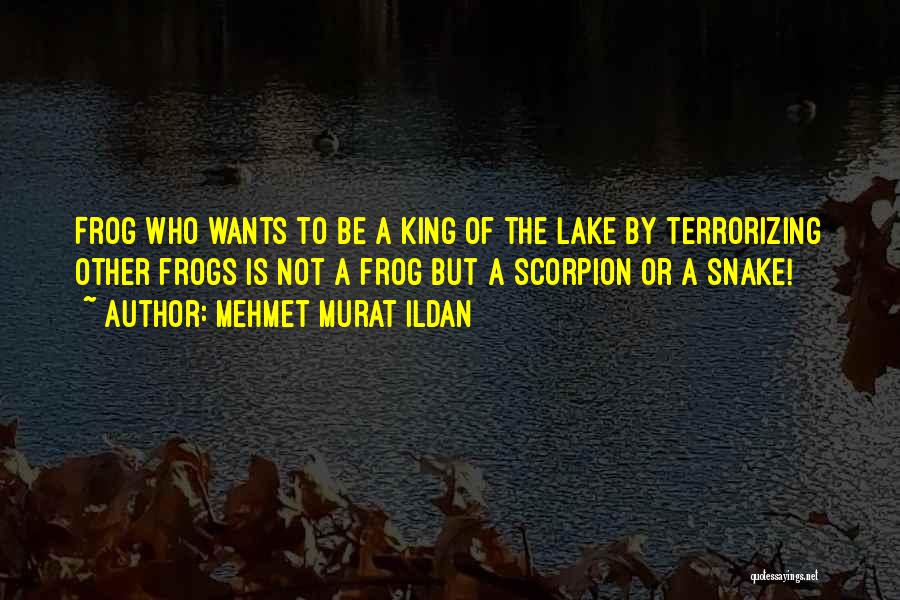 Mehmet Murat Ildan Quotes: Frog Who Wants To Be A King Of The Lake By Terrorizing Other Frogs Is Not A Frog But A