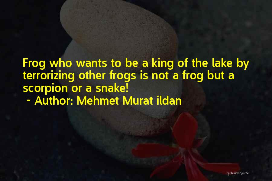 Mehmet Murat Ildan Quotes: Frog Who Wants To Be A King Of The Lake By Terrorizing Other Frogs Is Not A Frog But A