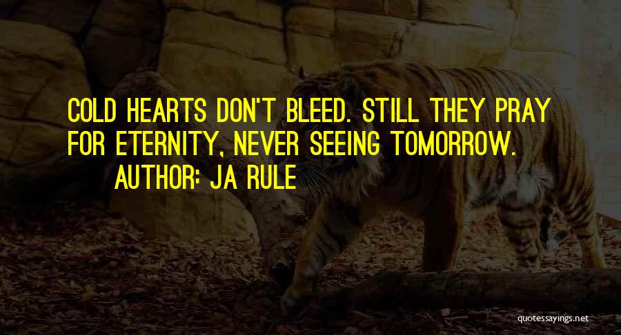 Ja Rule Quotes: Cold Hearts Don't Bleed. Still They Pray For Eternity, Never Seeing Tomorrow.
