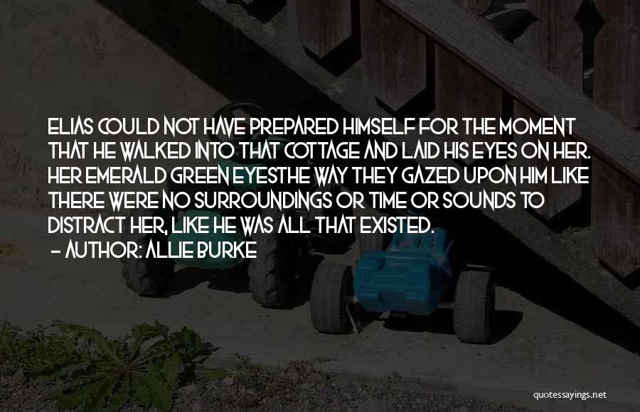 Allie Burke Quotes: Elias Could Not Have Prepared Himself For The Moment That He Walked Into That Cottage And Laid His Eyes On