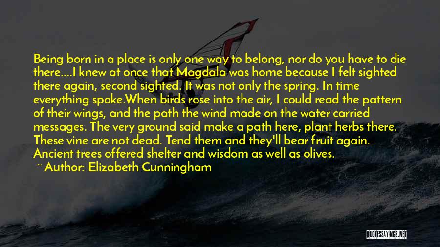 Elizabeth Cunningham Quotes: Being Born In A Place Is Only One Way To Belong, Nor Do You Have To Die There....i Knew At