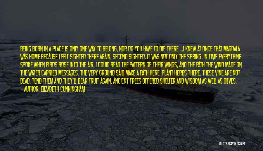 Elizabeth Cunningham Quotes: Being Born In A Place Is Only One Way To Belong, Nor Do You Have To Die There....i Knew At