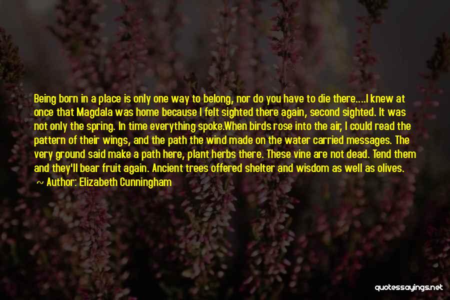 Elizabeth Cunningham Quotes: Being Born In A Place Is Only One Way To Belong, Nor Do You Have To Die There....i Knew At