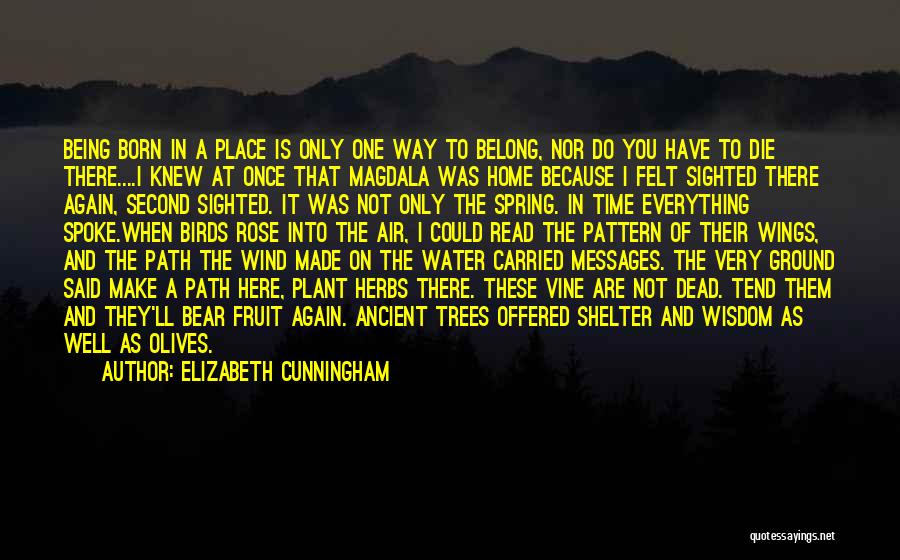 Elizabeth Cunningham Quotes: Being Born In A Place Is Only One Way To Belong, Nor Do You Have To Die There....i Knew At