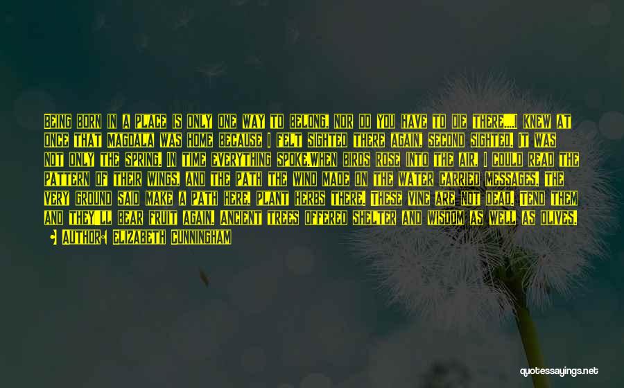 Elizabeth Cunningham Quotes: Being Born In A Place Is Only One Way To Belong, Nor Do You Have To Die There....i Knew At